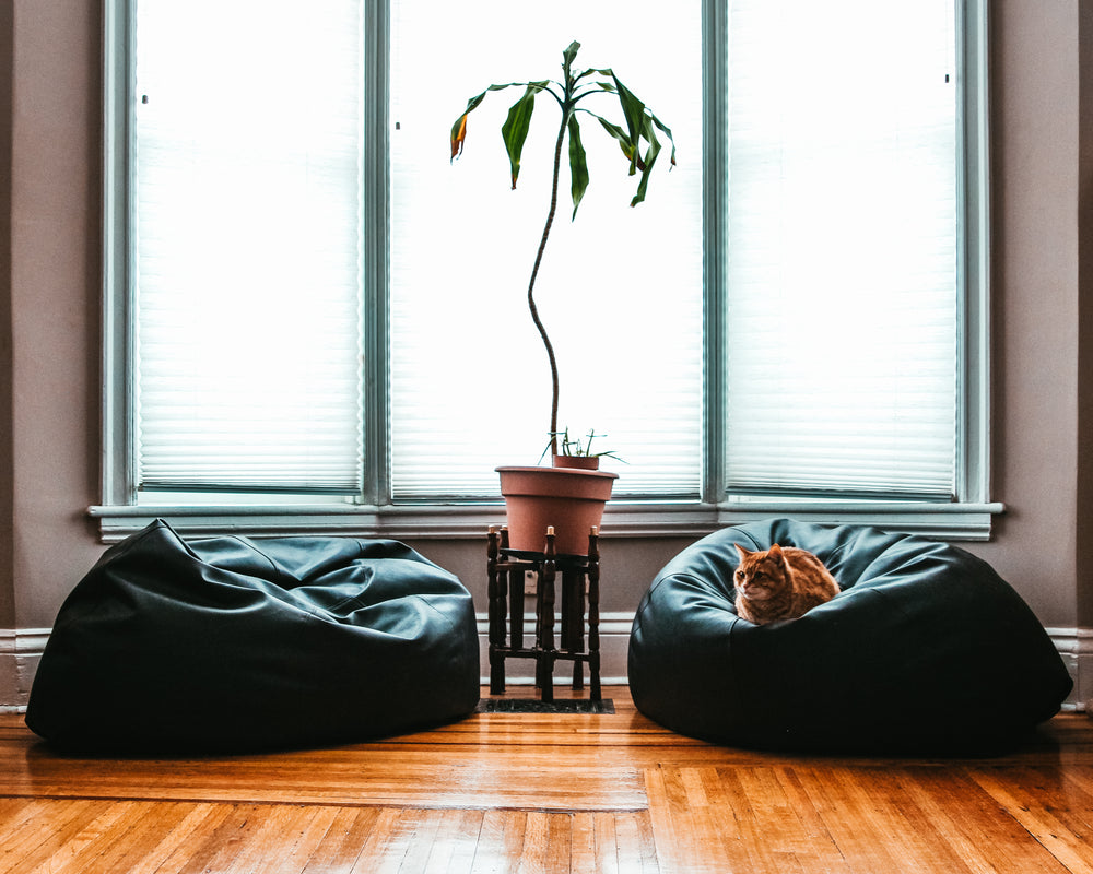 Rattan vs. Aluminium Gartenlounge – Materialvergleich